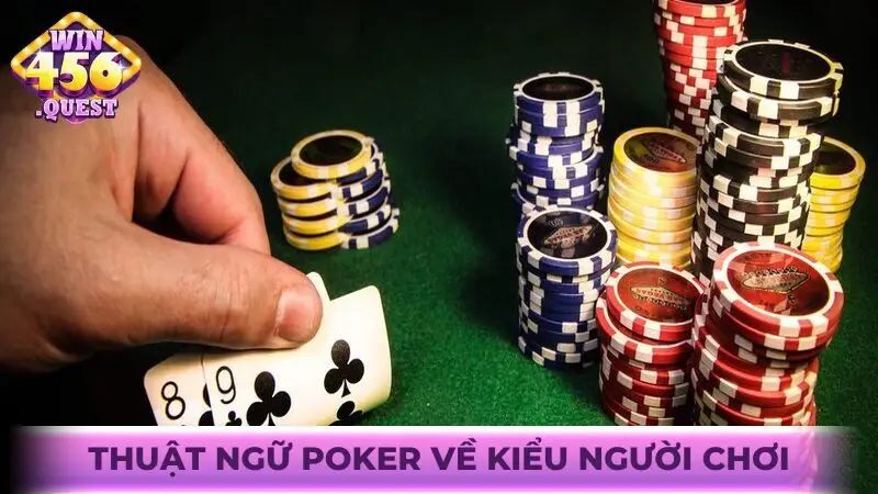 Thuật ngữ Poker về kiểu người chơi